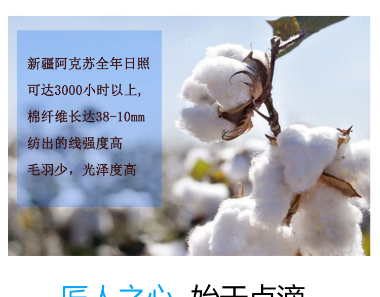 班服定制t恤印logo学生夏季宽松diy短袖文化衫订做运动会团队衣服(图27)