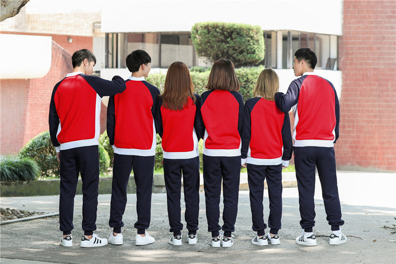 修身卫衣定制工作服小立领运动会团队聚会服定做印字logo秋冬外套(图8)